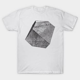 Durer Polyhedra T-Shirt